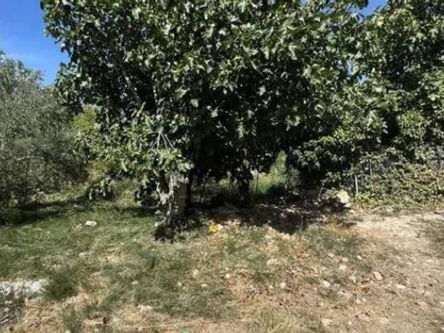 Chalet en venta en Jaén, Andalucía
