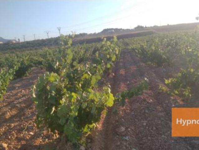 Chalet en venta en Altiplano, Murcia