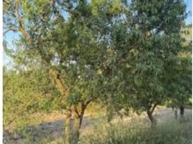 Chalet en venta en Terra Alta, Catalunya