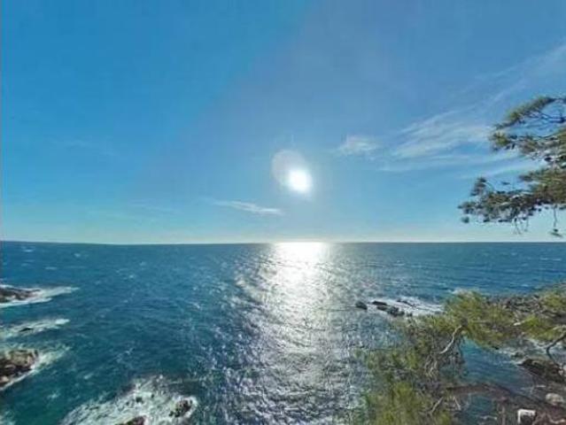 Chalet en venta en la Tortuga, la Selva