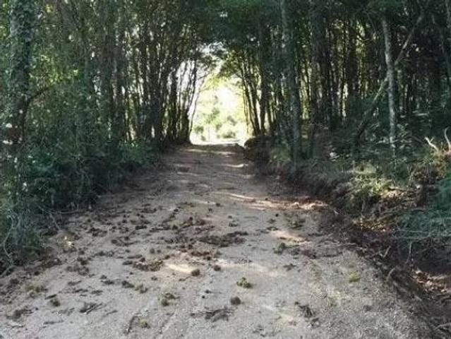 Chalet en venta en Lugo, Galicia