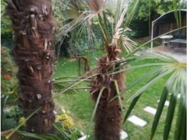 Chalet en venta en Hortaleza, Madrid