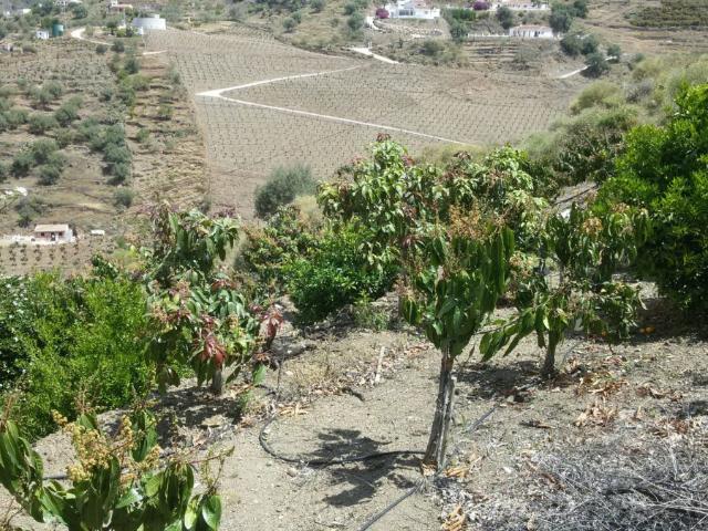 Chalet en venta en La Axarquía, Andalucía