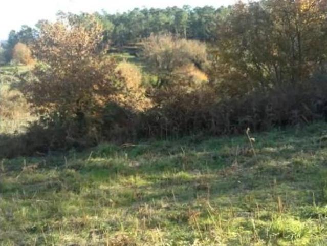 Chalet en venta en Maside, O Carballiño