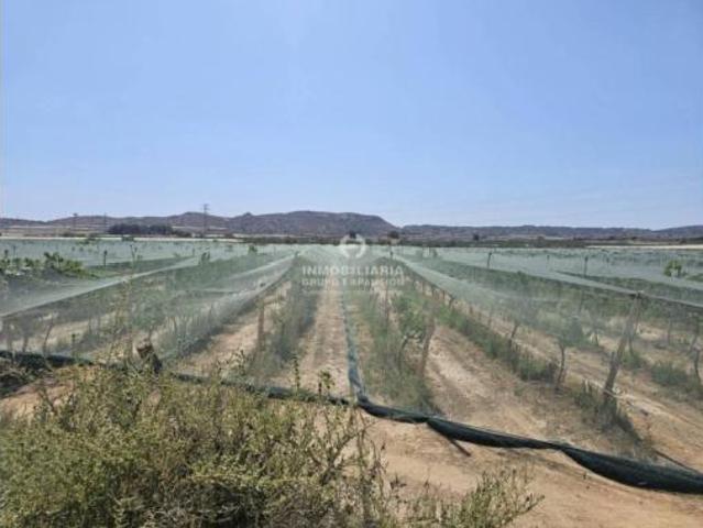 Chalet en venta en el Vinalopó Mitjà / El Vinalopó Medio, Valencia