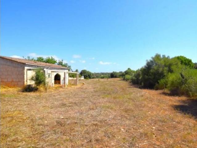 Chalet en venta en Pla de Mallorca, Baleares