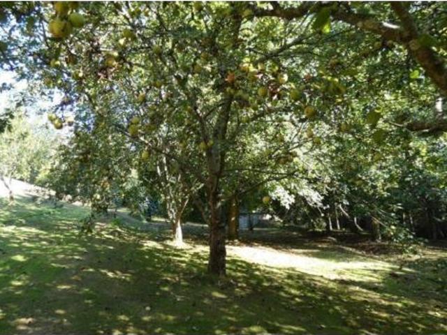 Chalet en venta en Navia, Asturias