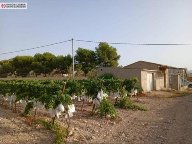 Chalet en venta en La Cruz, el Vinalopó Mitjà / El Vinalopó Medio