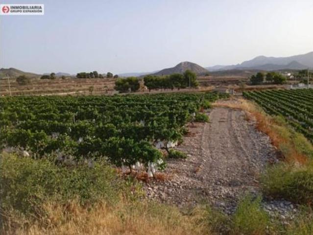 Chalet en venta en La Cruz, el Vinalopó Mitjà / El Vinalopó Medio