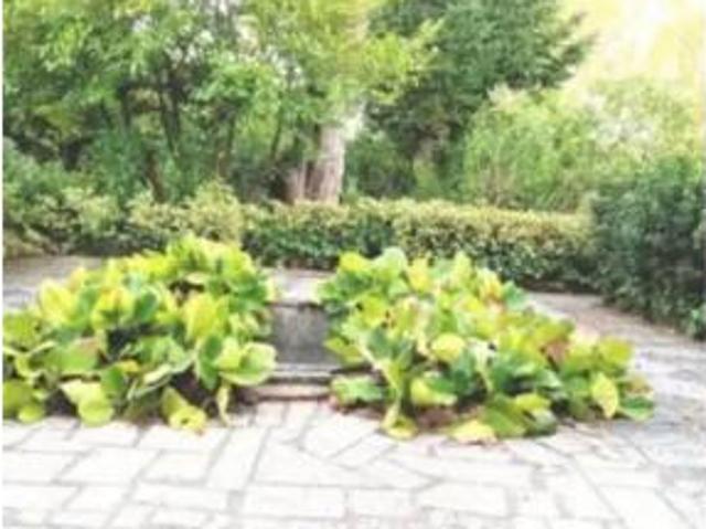 Chalet en venta en Mesego, O Carballiño