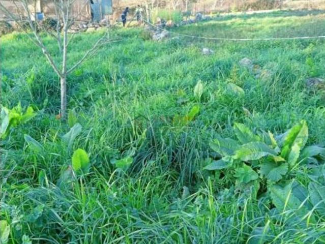 Chalet en venta en Prexigueiró, Ourense