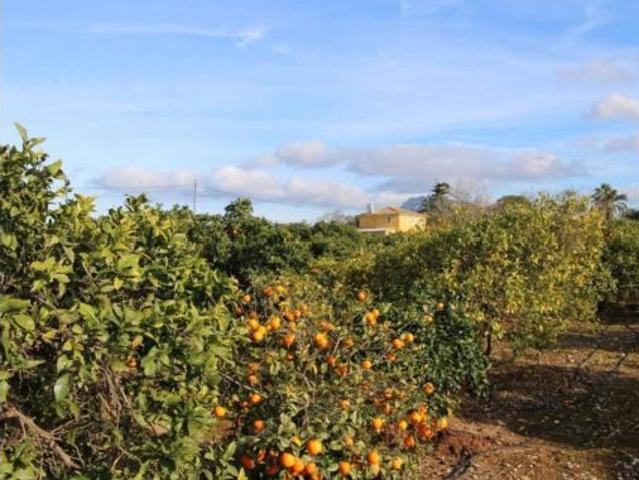 Chalet en venta en Ondara, Valencia