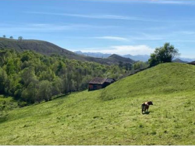 Chalet en venta en Benia de Onís, Onís