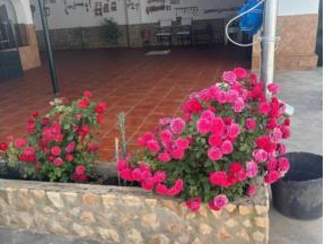 Chalet en venta en Osuna, Andalucía