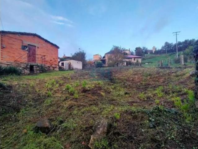 Chalet en venta en Coles, Ourense
