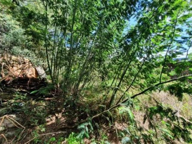 Chalet en venta en Cabeza de Vaca, Ourense