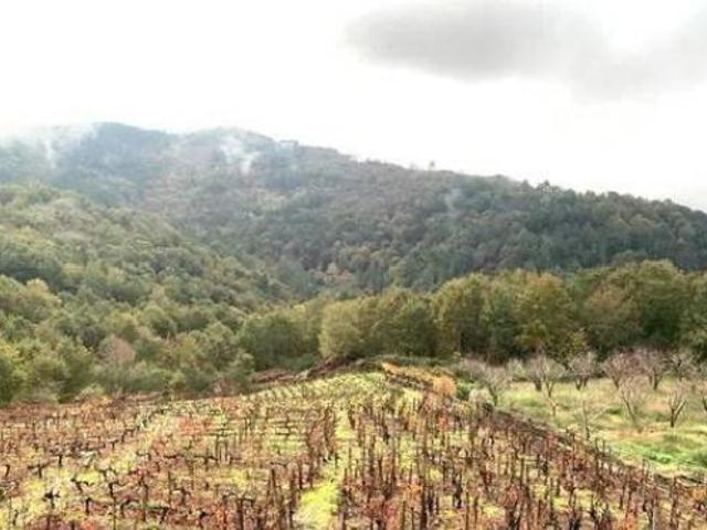 Chalet en venta en Pantón, Terra de Lemos