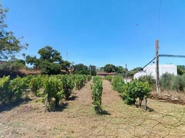 Chalet en venta en Perales Del Puerto, Extremadura