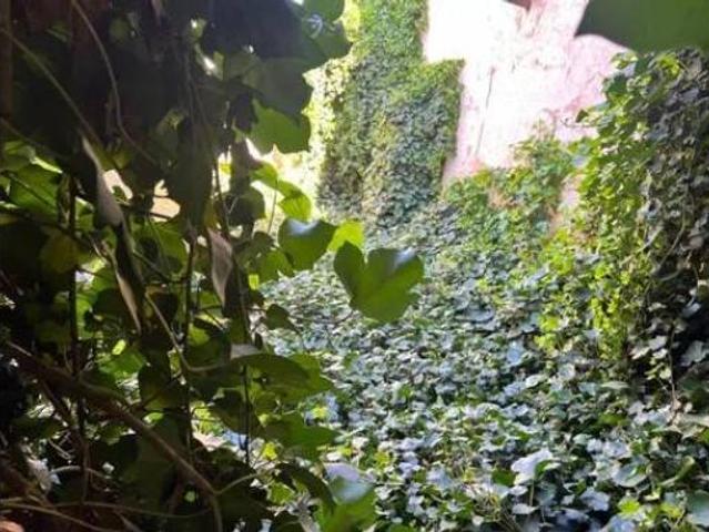 Chalet en venta en Peñas De San Pedro, Castilla-La Mancha