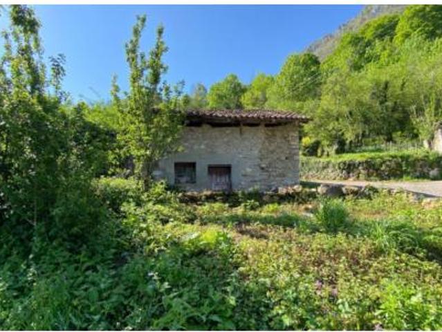 Chalet en venta en Ponga, Asturias
