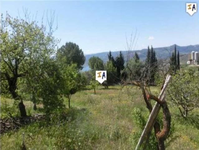 Chalet en venta en Rute, Andalucía