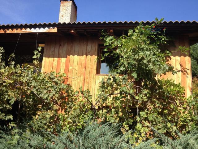 Chalet en venta en Cespedosa De Tormes, Castilla y León