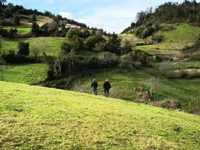 Chalet en venta en Salas