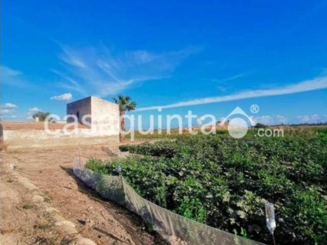 Chalet en venta en el Baix Segura / La Vega Baja, Valencia