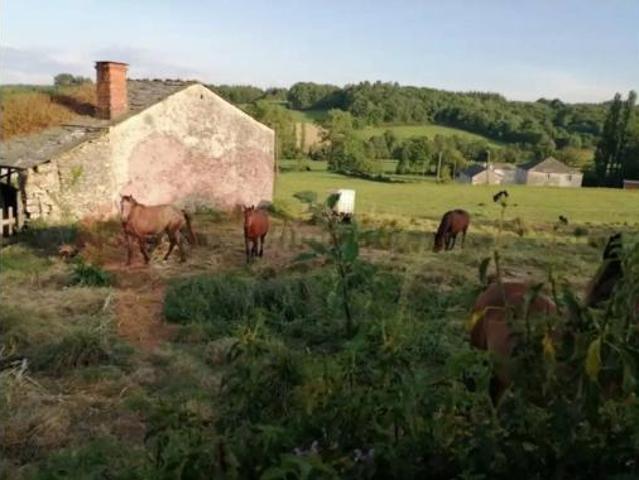 Chalet en venta en Maside, Sarria