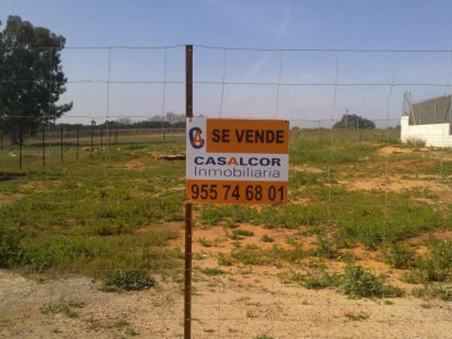 Chalet en venta en Urbanización El Higueral, Mairena Del Alcor