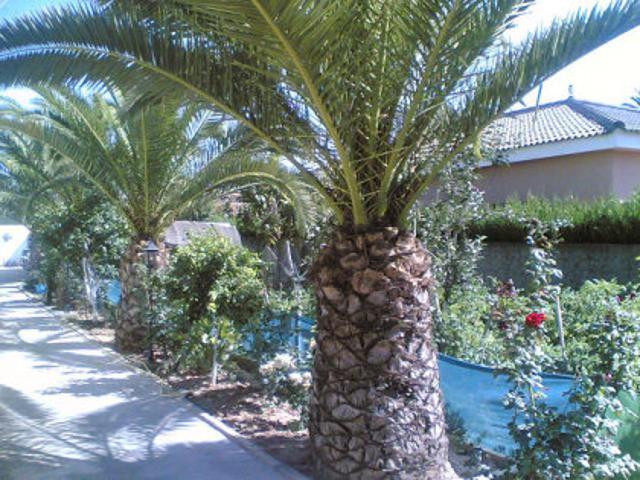 Chalet en venta en Barriada Juan de la Cosa, Dos Hermanas
