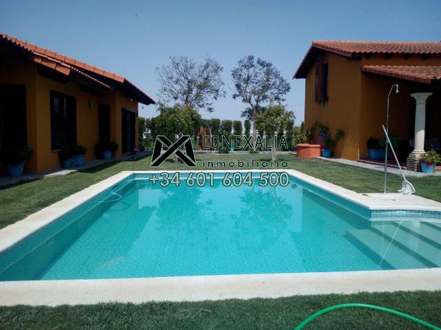 Chalet en venta en Los Palacios Y Villafranca, Andalucía