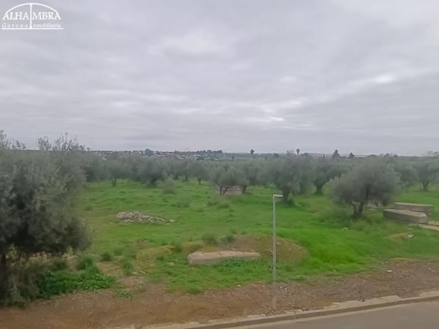 Chalet en venta en Camino de Umbrete, Espartinas