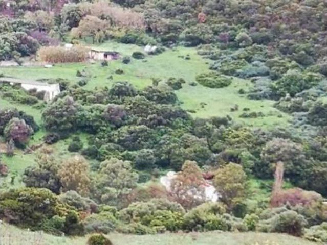 Chalet en venta en Facinas, Campo de Gibraltar