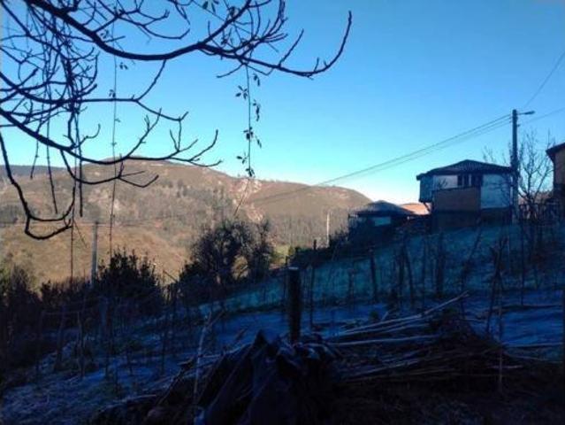 Chalet en venta en Tineo, Asturias