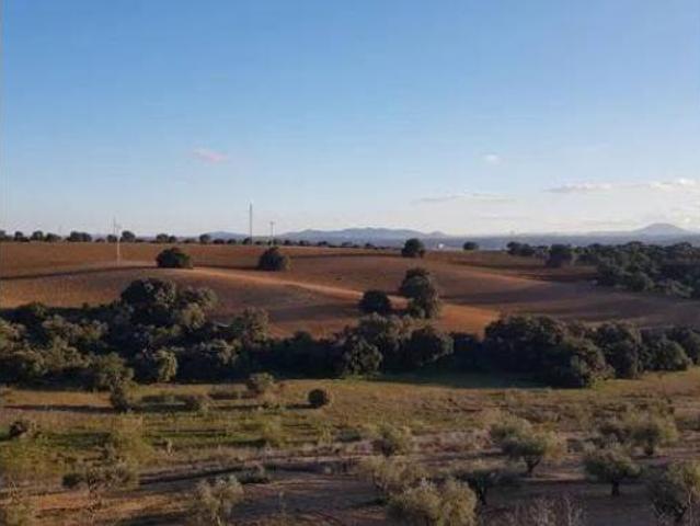 Chalet en venta en Toledo, Castilla-La Mancha