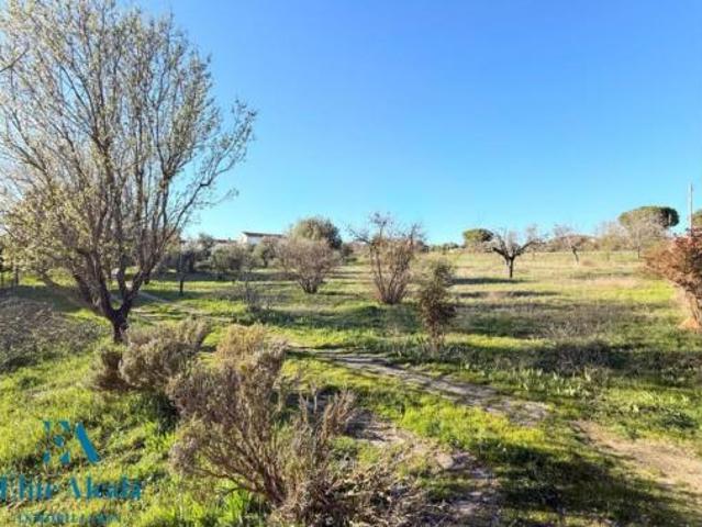 Chalet en venta en Valdeavero, Madrid