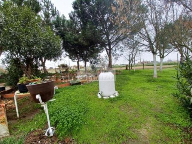 Chalet en venta en Villanueva De La Serena, Extremadura