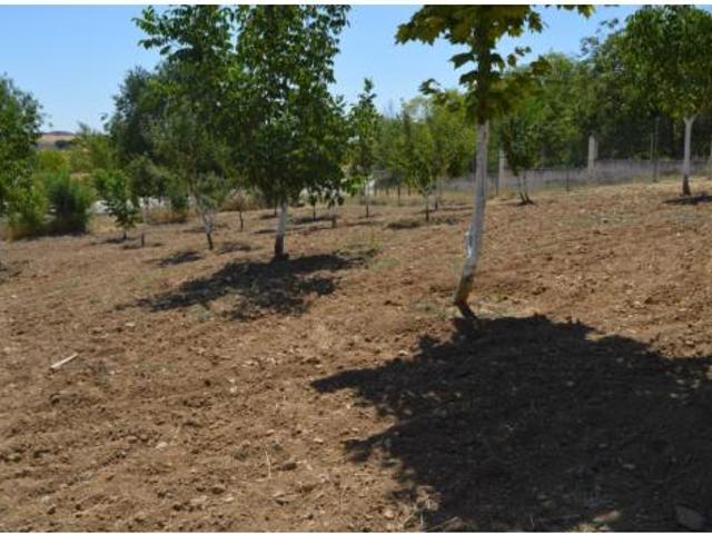 Chalet en venta en Villar De Cañas, Castilla-La Mancha