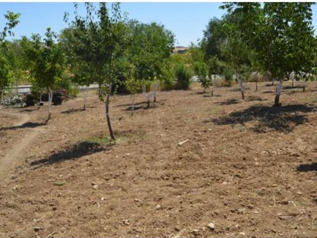 Chalet en venta en Villar De Cañas, Castilla-La Mancha