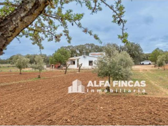 Chalet en venta en Villarrobledo, Castilla-La Mancha
