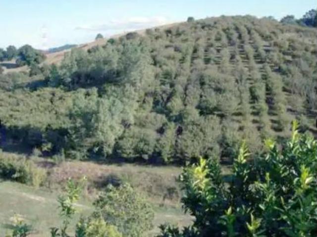 Chalet en venta en Zamudio, Guipúzcoa
