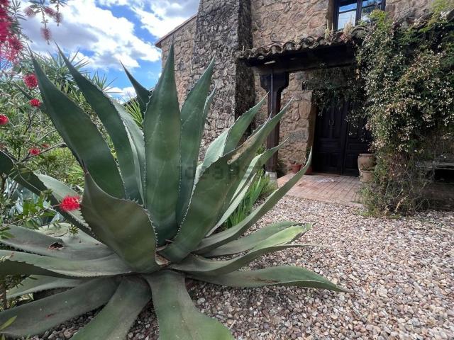Casa en venta en Viandar De La Vera, Extremadura