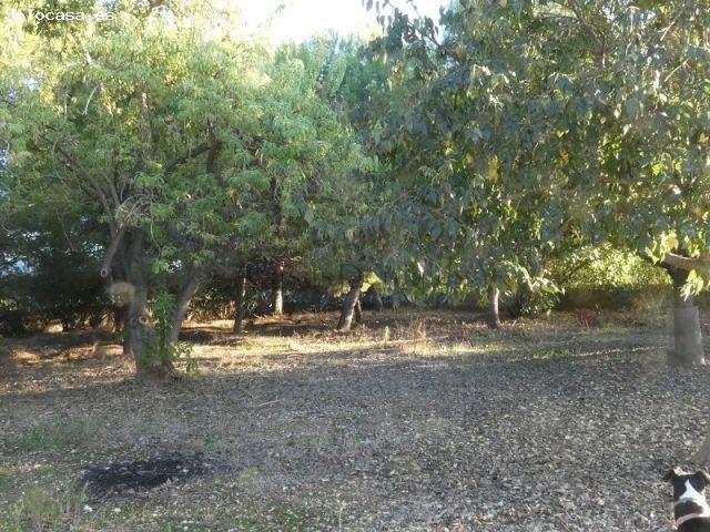 Casa en venta en els Poblets, la Marina Alta