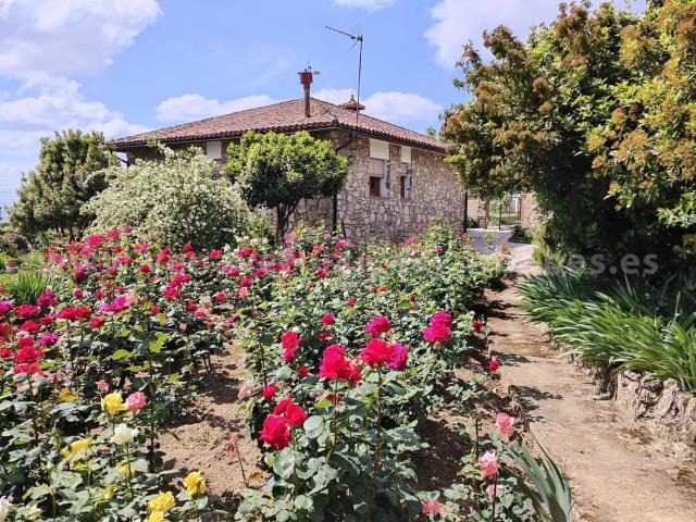 Casa en venta en Villanueva De La Vera, Extremadura