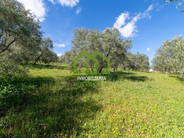 Casa en venta en Nororma, Andalucía