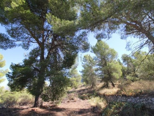 Casa en venta en Villena, Alacant / Alicante