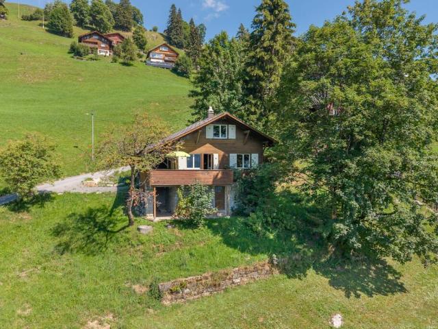 Haus kaufen in Braunwald, Glarus
