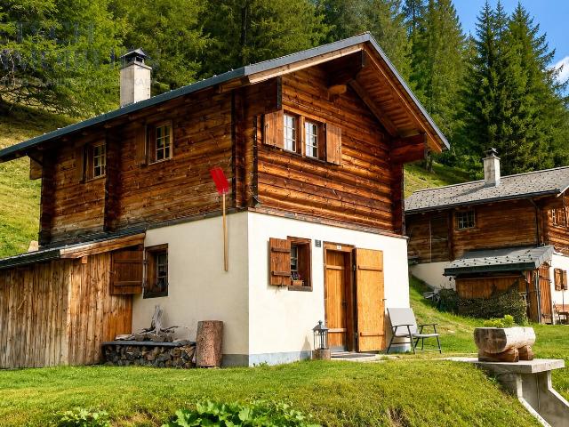 Haus kaufen in Ernen, Wallis