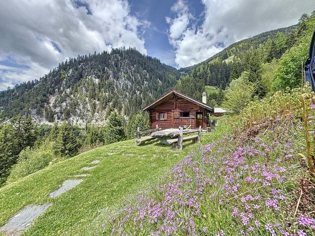 Haus kaufen in Sarreyer, Wallis